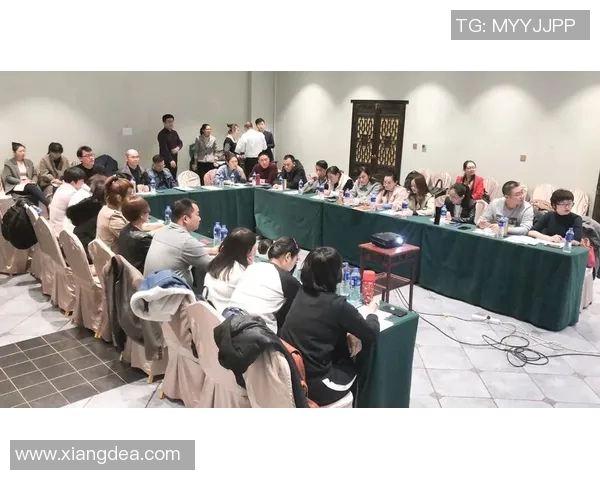 武汉羽毛球队转型之路的挑战与机遇全景分析 武汉羽毛球队转型之路的挑战与机遇全景分析