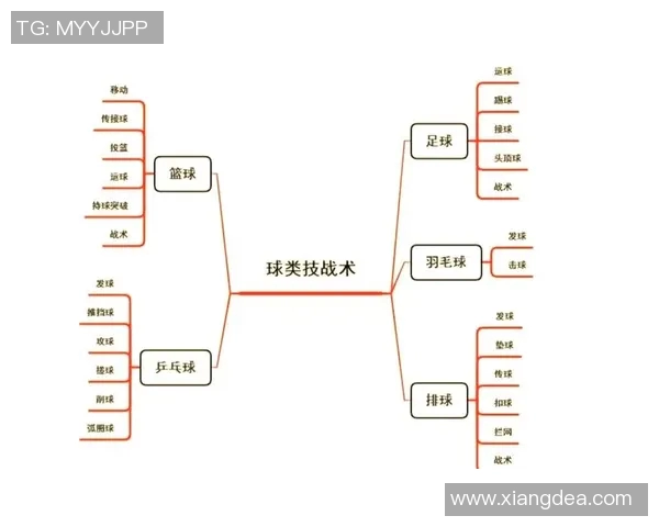 北京排球队边路渗透战术解析及其在比赛中的应用研究 北京排球队边路渗透战术解析及其在比赛中的应用研究