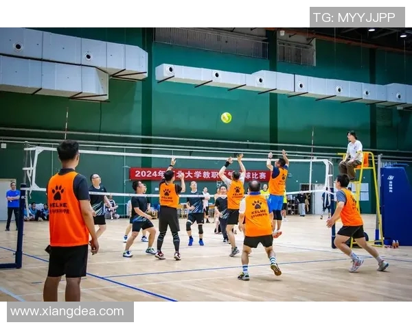 南京排球队的默契配合与战术探讨聚焦排球的精彩瞬间与团队精神 南京排球队的默契配合与战术探讨聚焦排球的精彩瞬间与团队精神