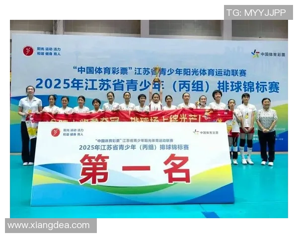 南京排球队在全国排球比赛经验排行榜中荣获第十名的荣耀时刻 南京排球队在全国排球比赛经验排行榜中荣获第十名的荣耀时刻