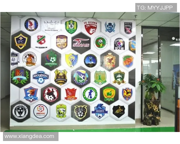 向往足球明星名单汇总及其成就分析与球迷互动活动计划 向往足球明星名单汇总及其成就分析与球迷互动活动计划