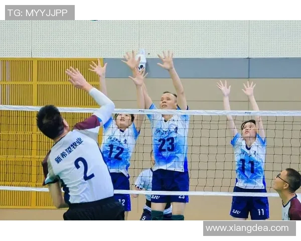 杭州排球队技术创新引领排球新潮流实力排名再创新高 杭州排球队技术创新引领排球新潮流实力排名再创新高