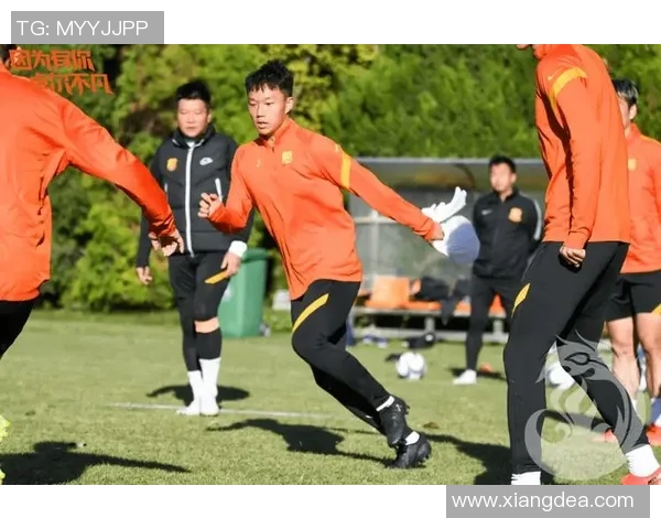 武汉足球队节奏争议引发热议球迷与专家各执己见探讨背后原因