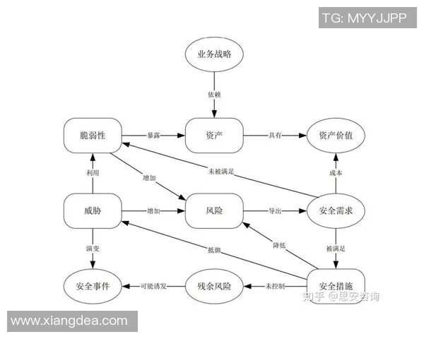 深圳排球队总决赛战术分析与表现评估全面解读
