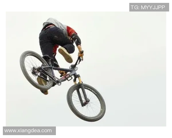 成都极限运动队的转型之路探索与深度解析 成都极限运动队的转型之路探索与深度解析