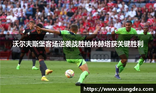 77体育热爱你的热爱