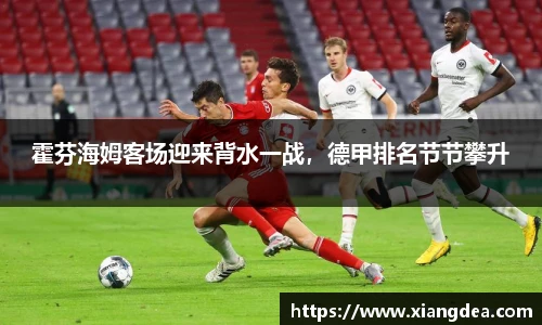 霍芬海姆客场迎来背水一战，德甲排名节节攀升
