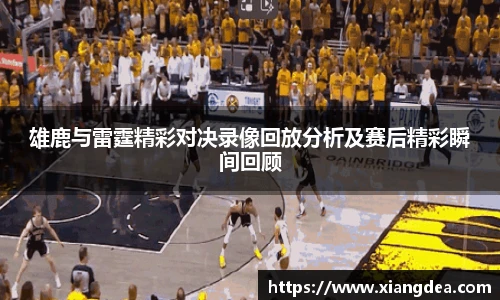 雄鹿与雷霆精彩对决录像回放分析及赛后精彩瞬间回顾
